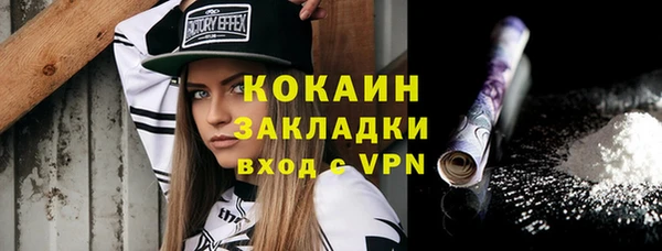 хмурый Верея