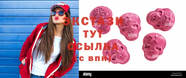 хмурый Верея