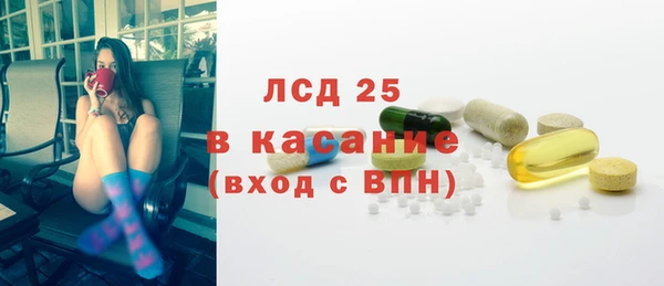 хмурый Верея
