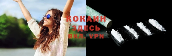 хмурый Верея