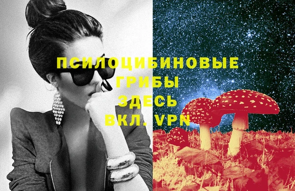 хмурый Верея