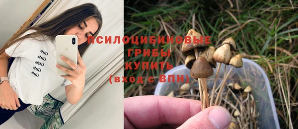 альфа пвп Верхнеуральск
