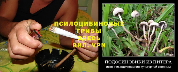 a pvp Верхний Тагил