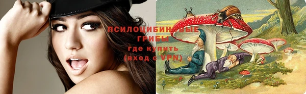 хмурый Верея