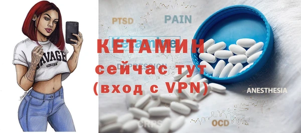 хмурый Верея