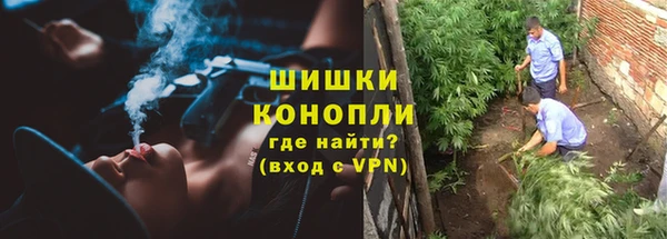 хмурый Верея