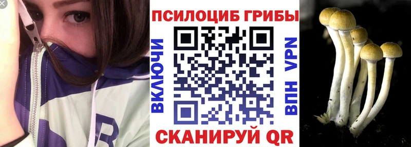 мега маркетплейс  Уссурийск  Псилоцибиновые грибы Cubensis 